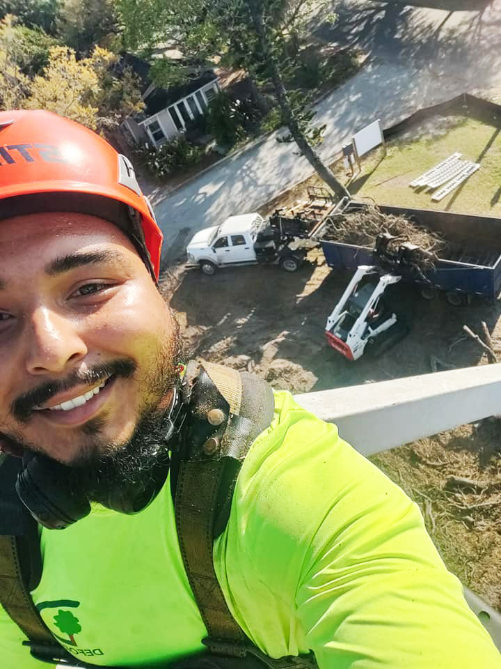 Tree Trimmers Indian Rocks Beach Florida